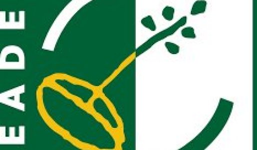 Aktuality / MAS Leader projekty