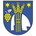 Voľby do orgánov samosprávnych krajov